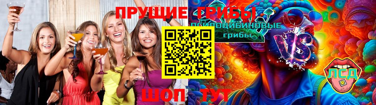 Лениногорск  Галлюциногенные грибы Psilocybe  Вход с VPN 